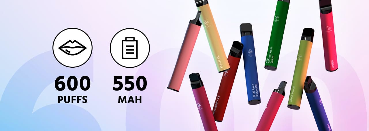 Elfbar 600 Einweg Vape