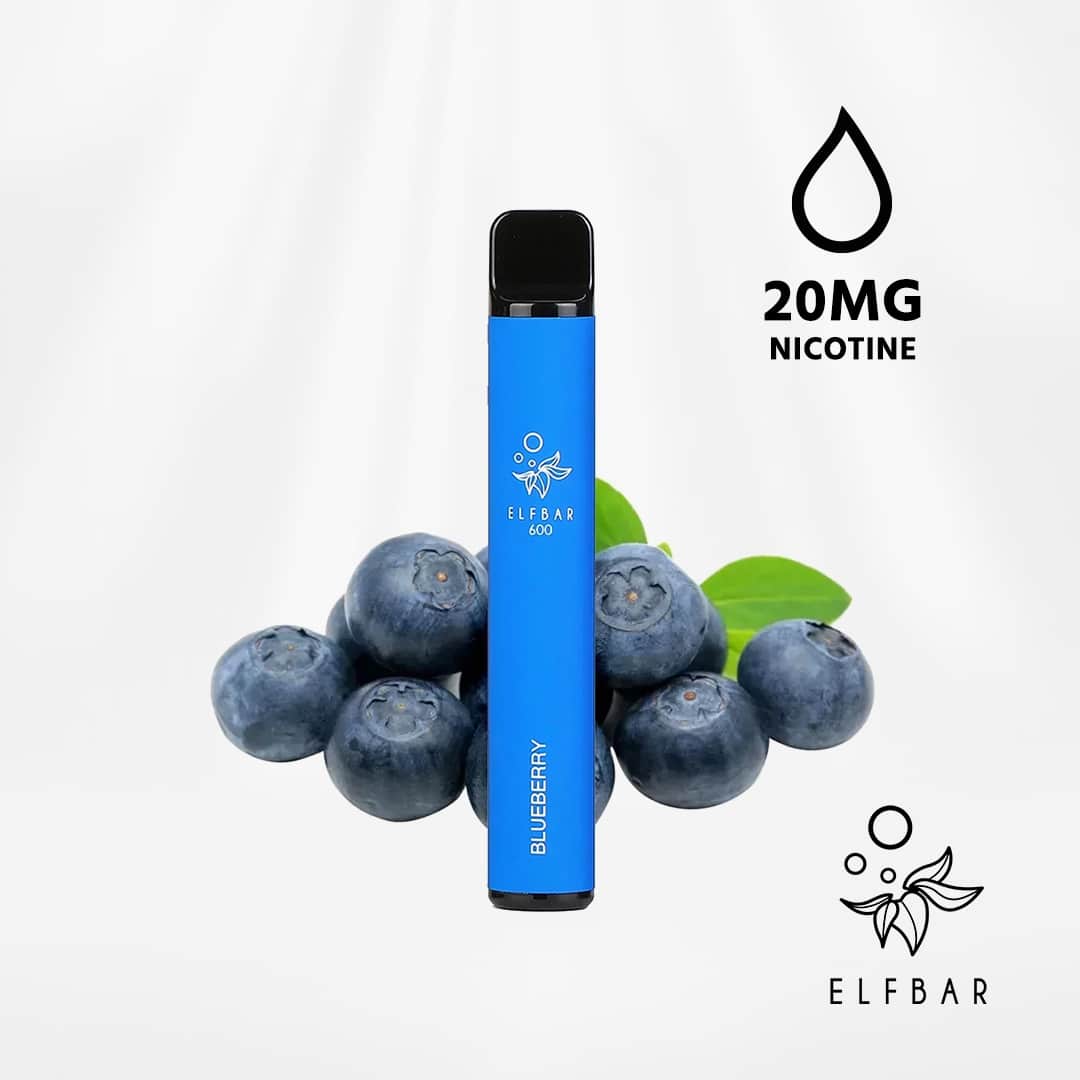 elfbar 600 blueberry heidelbeeren 20mg